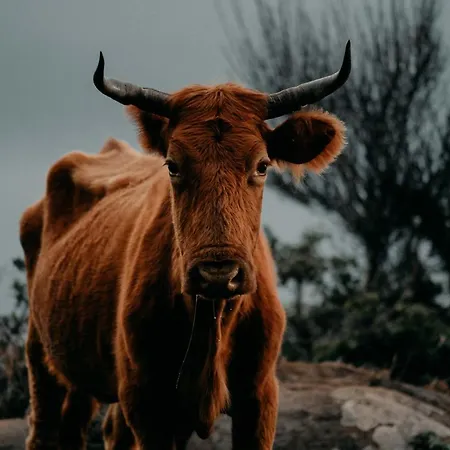 Atlantic View Penthouse شقة *