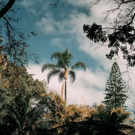 Apartamento Atlantic View Penthouse Funchal (Madeira)