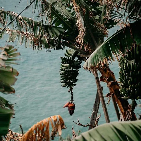 Atlantic View Penthouse Funchal (Madeira)
