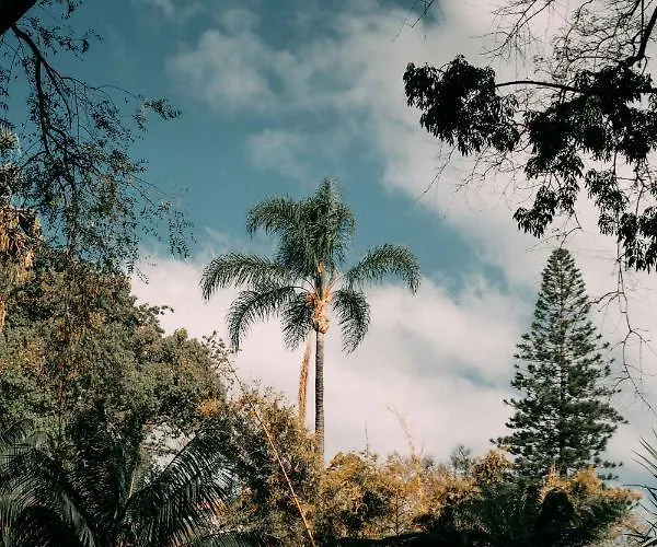 Appartement Atlantic View Penthouse Funchal (Madeira)