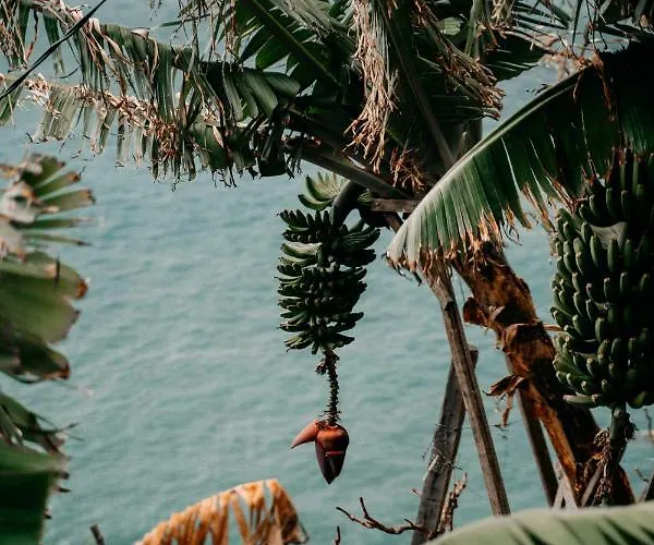Atlantic View Penthouse Funchal (Madeira)